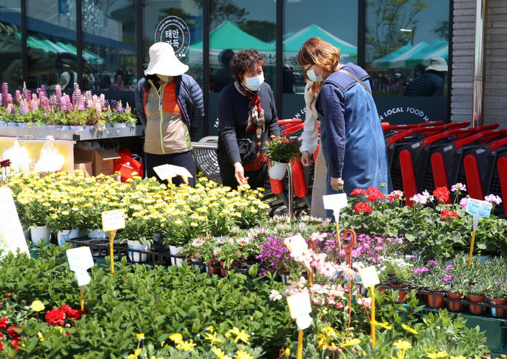 로컬푸드 직거래장터