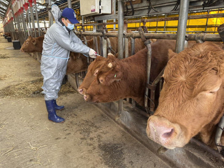 4. 고양시, 구제역 백신 100% 접종 완료