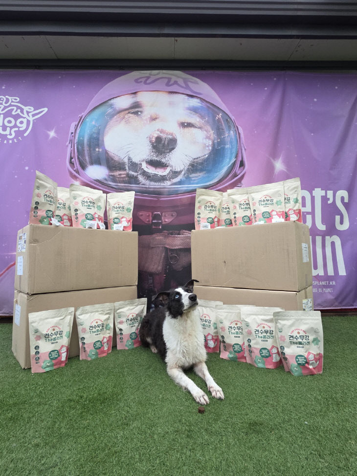 temp_1772613936178.-829802821