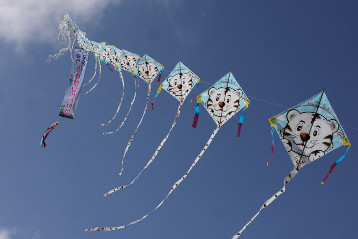 제42회 줄포 전국 민속연날리기 대회 성료 (2)