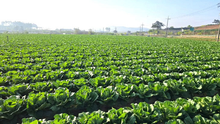 FB_IMG_1749635837543