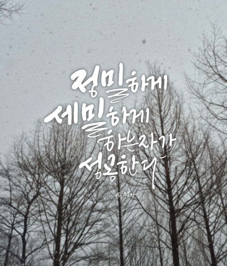 KakaoTalk_20260303_112005580