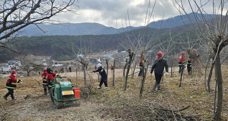 고창군 영농부산물 파쇄지원(2)