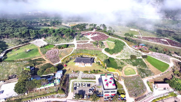 정읍시, 2026 구절초 꽃축제 준비 ‘착착’