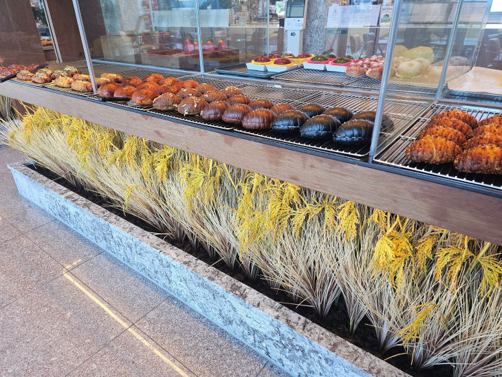 가루쌀-무안군 태산(빵) (1)