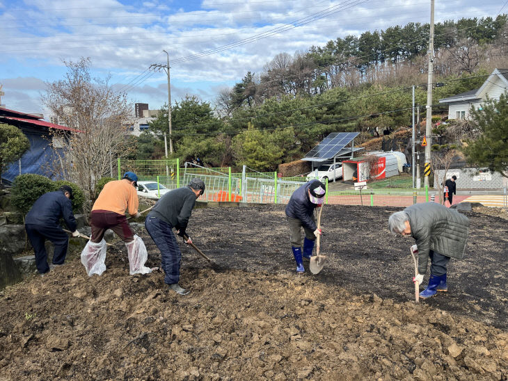 나눔봉사단 텃밭 퇴비작업 사진 (2)