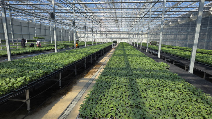 대소 다올찬수박 공정육묘장.(음성군 제공)