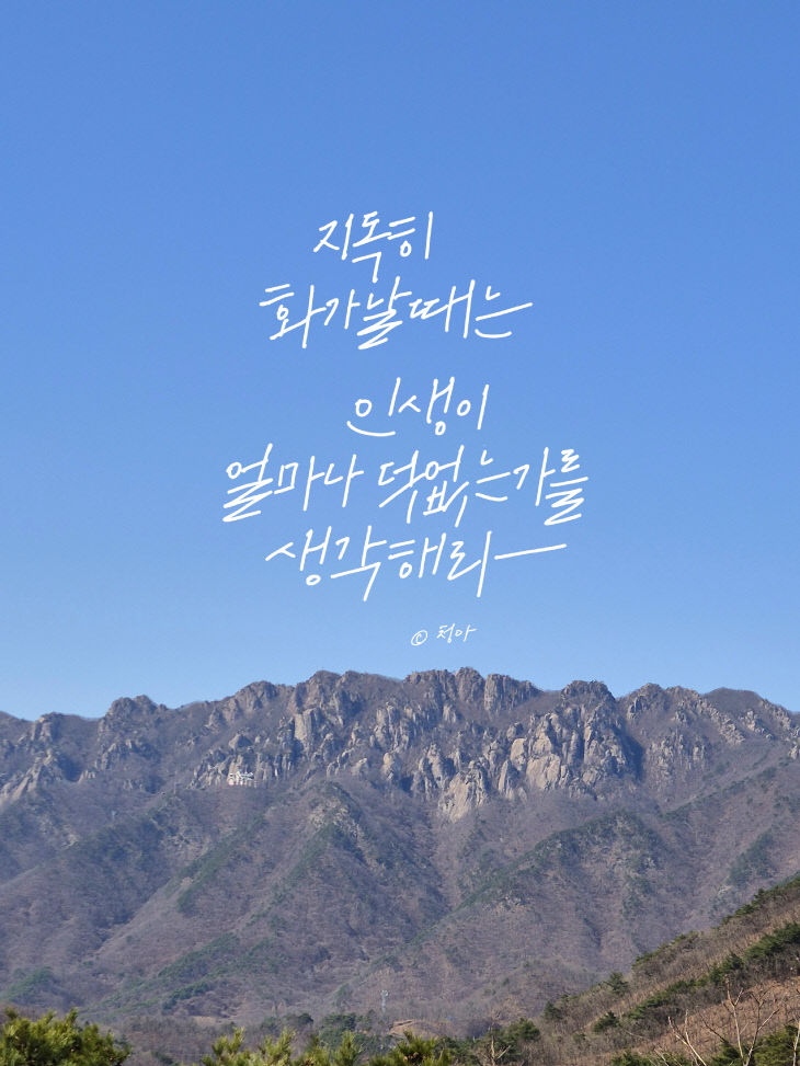 KakaoTalk_20260304_081034325