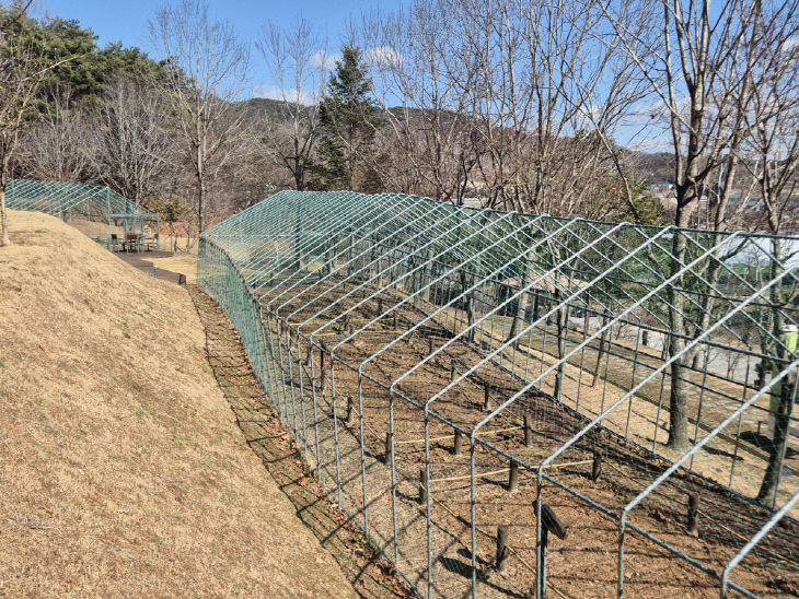 10.삽티공원 텃밭 모습 (1)