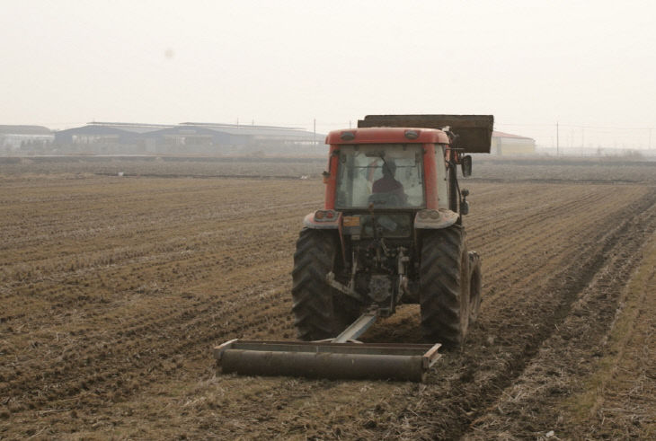 충북농기원, 봄철 사료작물 ‘눌러주기’로 생산량 15_ 증대
