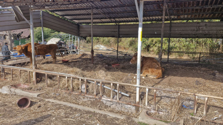 KakaoTalk_20260307_092218459_01