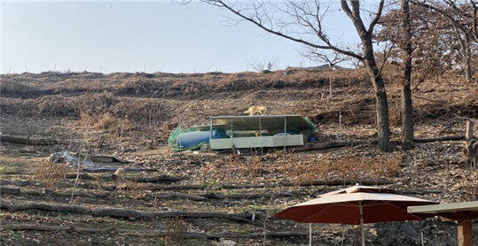 3.9(김해시, 야생(들)개 긴급구조 사업 추진)2