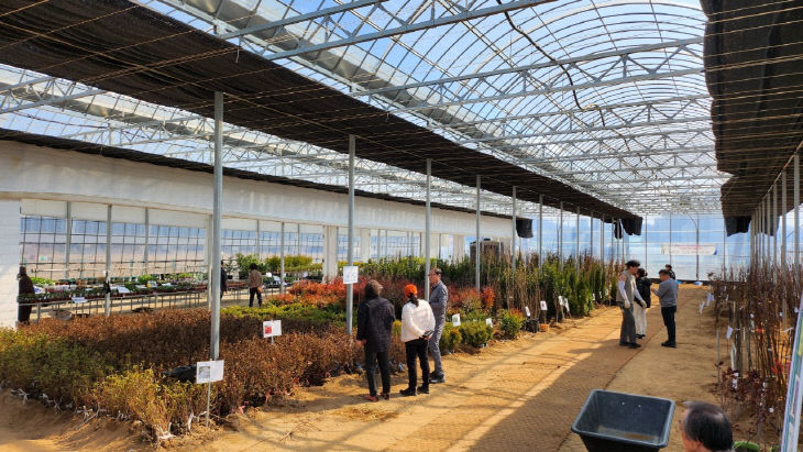 나무시장 전경.(충주시 제공)