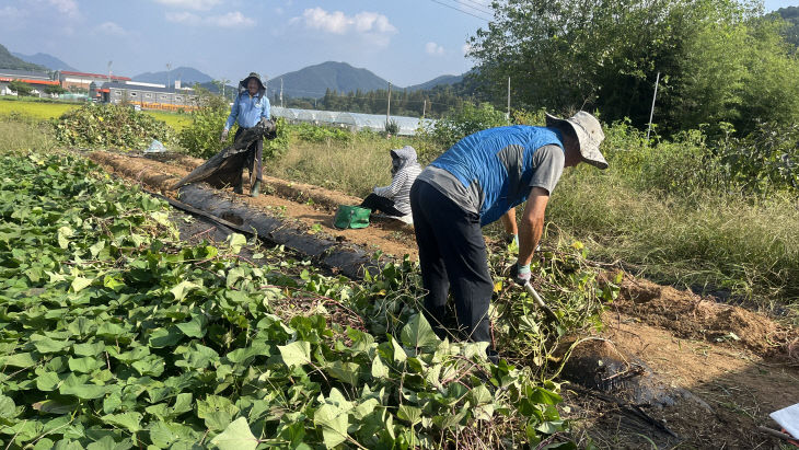 2025 주말영농 체험농장(2)