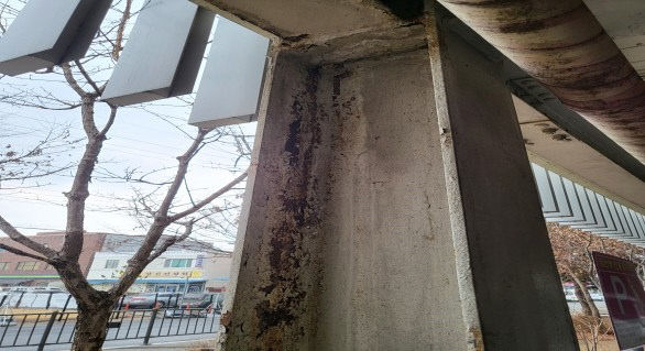 세종고용복지플러스센터 주차장 모습.