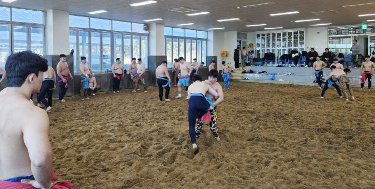 씨름전지훈련 (2)