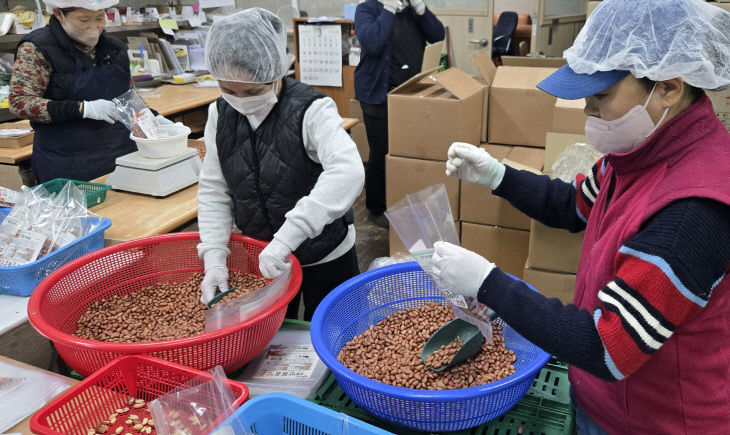 태안 볶음땅콩(생산 모습) (4)