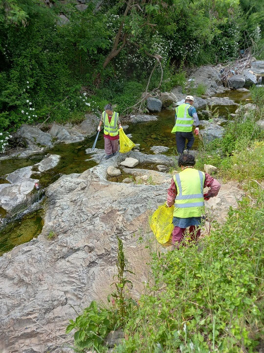 3.10 김해시 정례사업)
