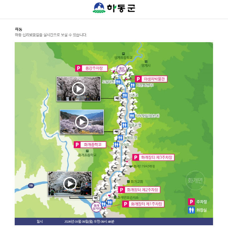 2.벚꽃개화서비스