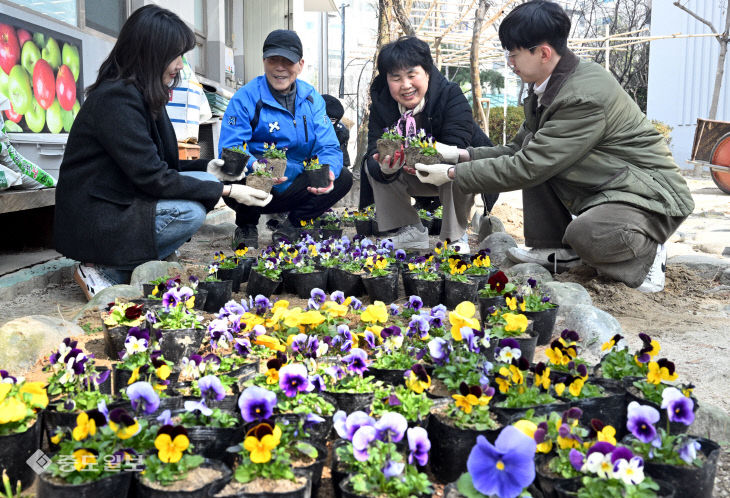 20260310-봄꽃 식재2