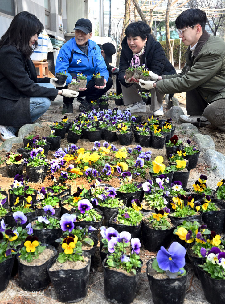 20260310-봄꽃 식재