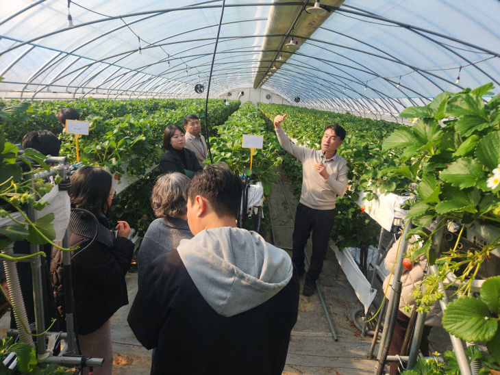 논산딸기스마트재배기술현장설명회(2)