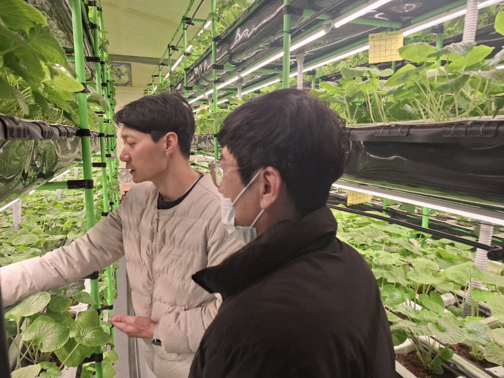 1. 영동군 청년농업인의 매콤하고 톡쏘는 꿈! (1)