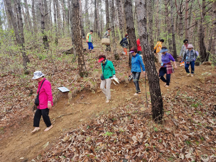 거창 항노화 힐링랜드 맨발걷기 사진
