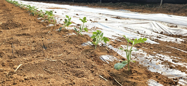 1773214331198.1072658992_129772345784036