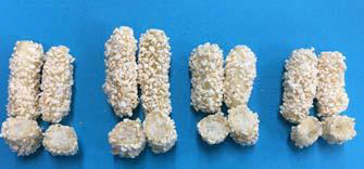 품종별 유과 모양