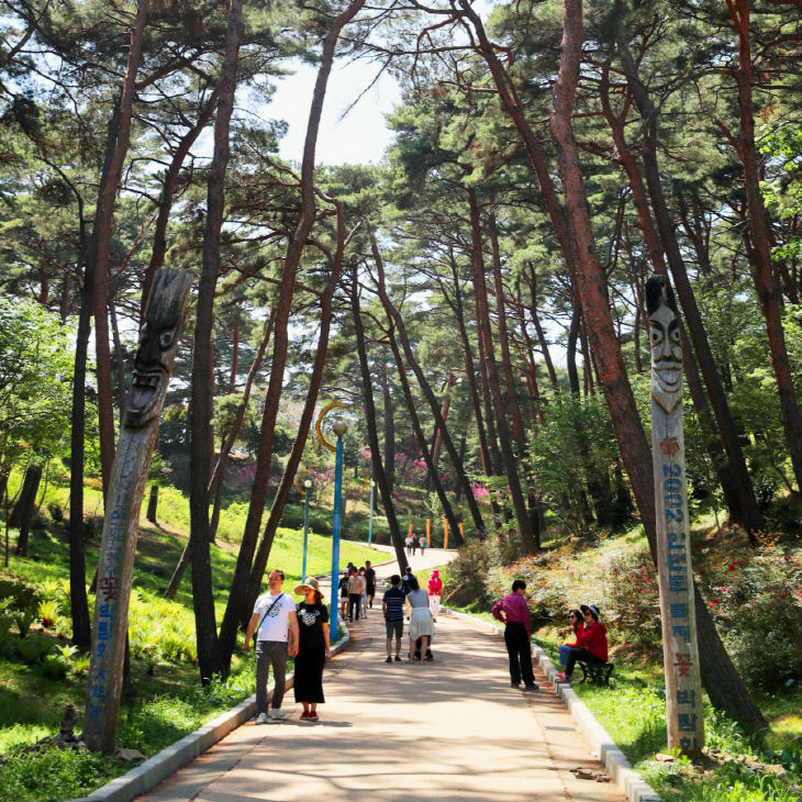 체류형관광지_안면도자연휴양림 (6)