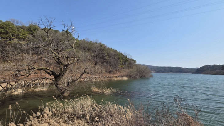 KakaoTalk_20260313_194348568