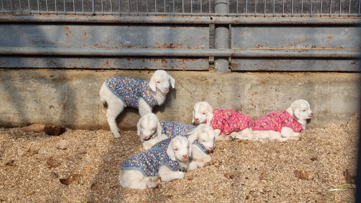 KakaoTalk_20260313_195114449