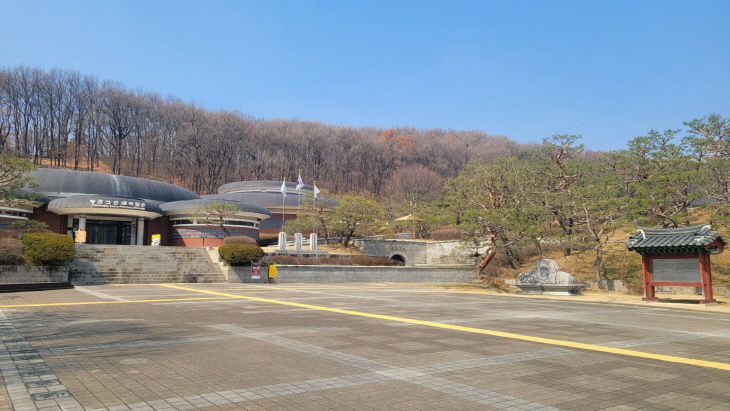 청주고인쇄박물관, 조경수 전정 완료.