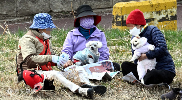 20260316-산책하기 좋은 날