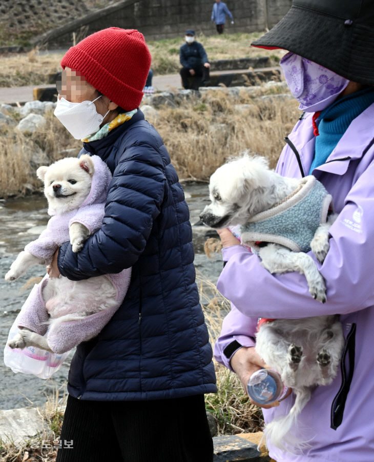 20260316-산책하기 좋은 날1