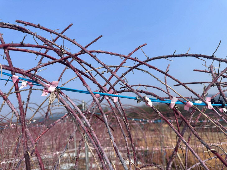 1773615881081_7439084184484889661_3039232545