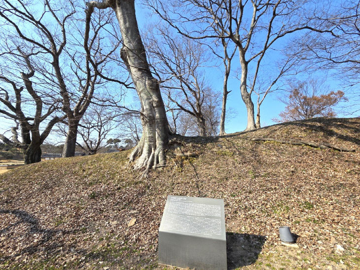 Resized_20260313_150957_229918853418697