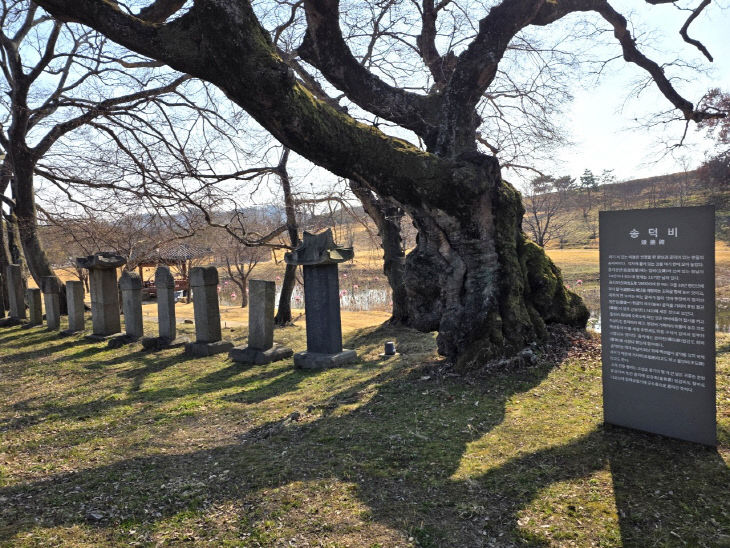 Resized_20260313_150851_229898755203288