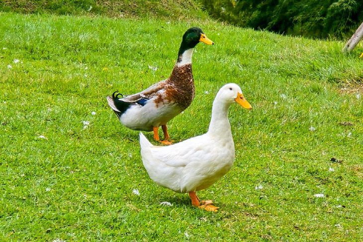 KakaoTalk_20260316_091808704