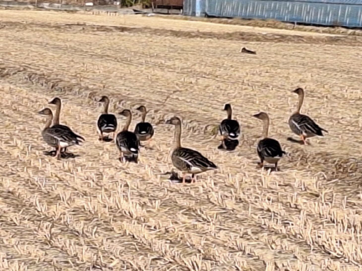 KakaoTalk_20260316_091818094