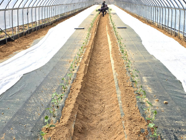 Resized_20260316_112200_18051574409830