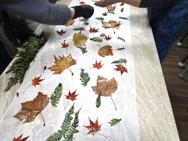 Resized_20260316_164414_17954599778201