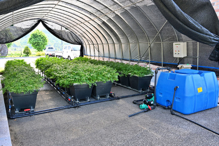 작은 공간이 농장으로…‘모듈형 수경재배장치’ 특허 등록 1