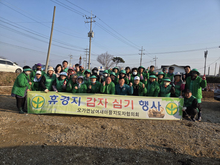 오가면 새마을협의회 감자심기 행사
