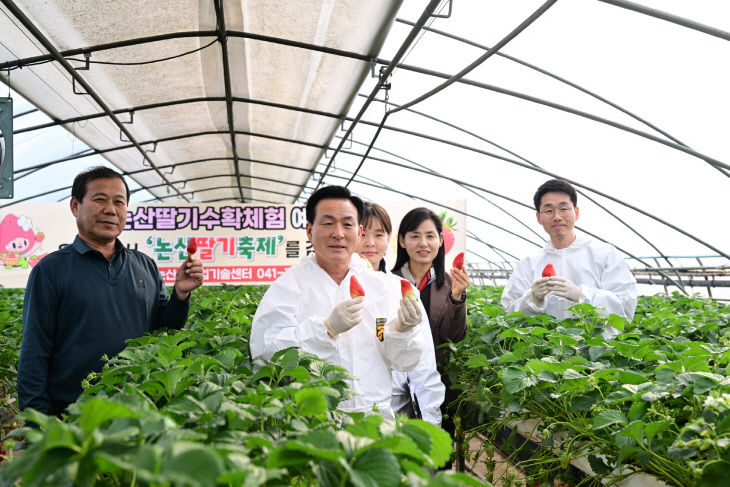 딸기안전성 현장검사 (2)