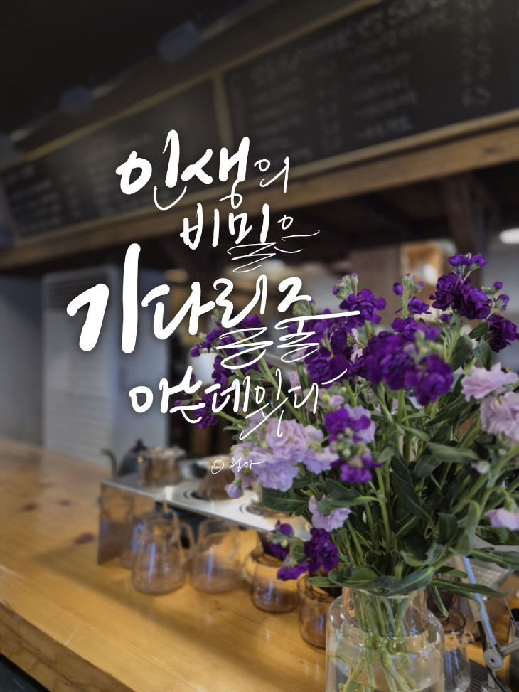 KakaoTalk_20260311_164125093