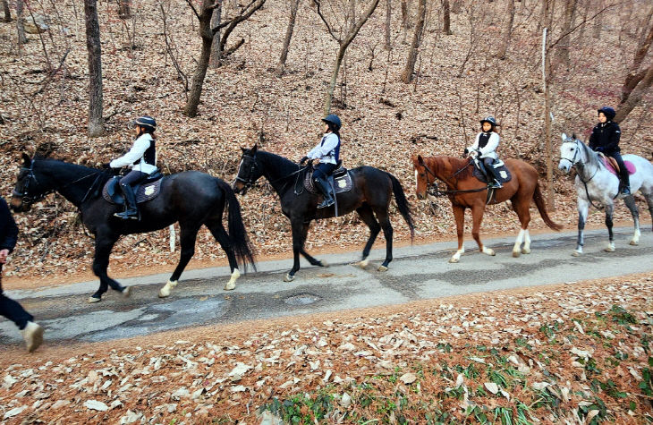 아산시 ‘공공형 승마 프로그램’ 본격화(3)