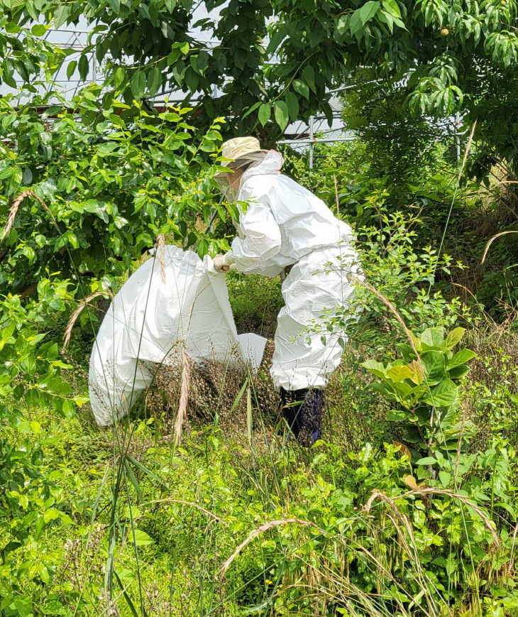 참진드기 매개 환자발생지의 원인 매개체 조사