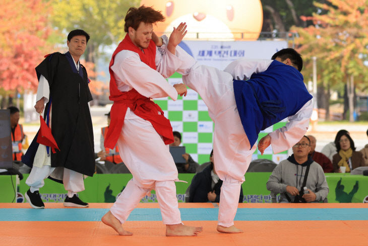 2025년 세계택견대회 사진.(충주시 제공)